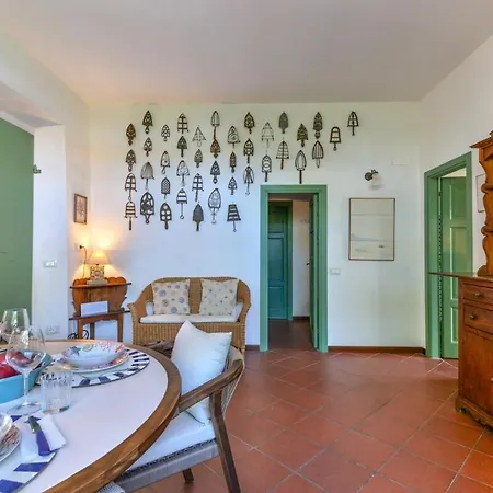 Stella Di Amalfi *